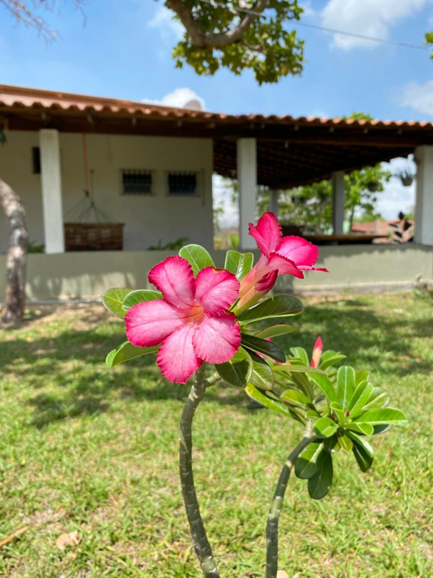 Chale A 4Km Do Centro Com Wi-Fi Villa Barreirinhas Eksteriør bilde